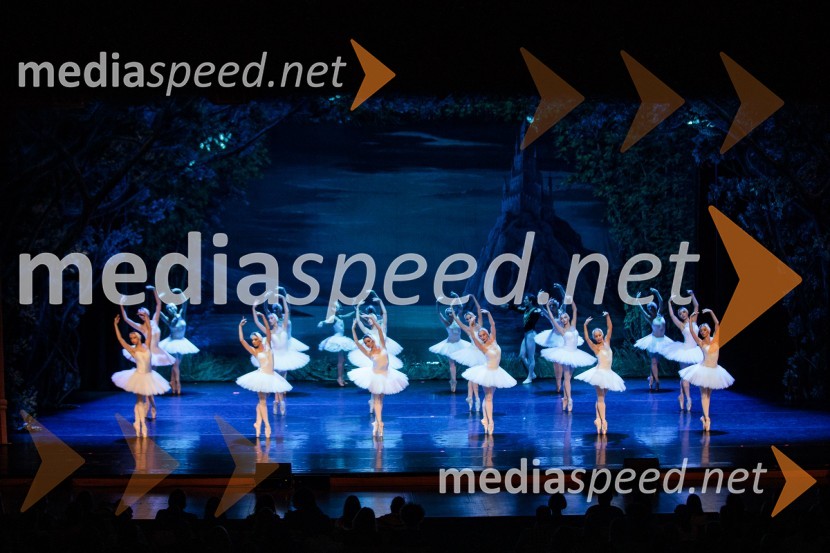 Labodje jezero, balet