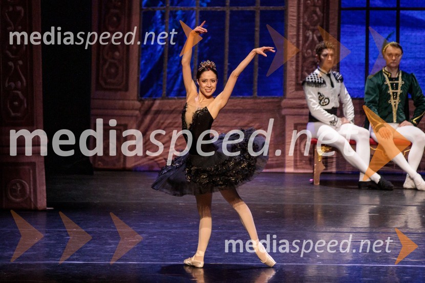 Labodje jezero, balet