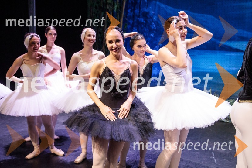 Labodje jezero, balet