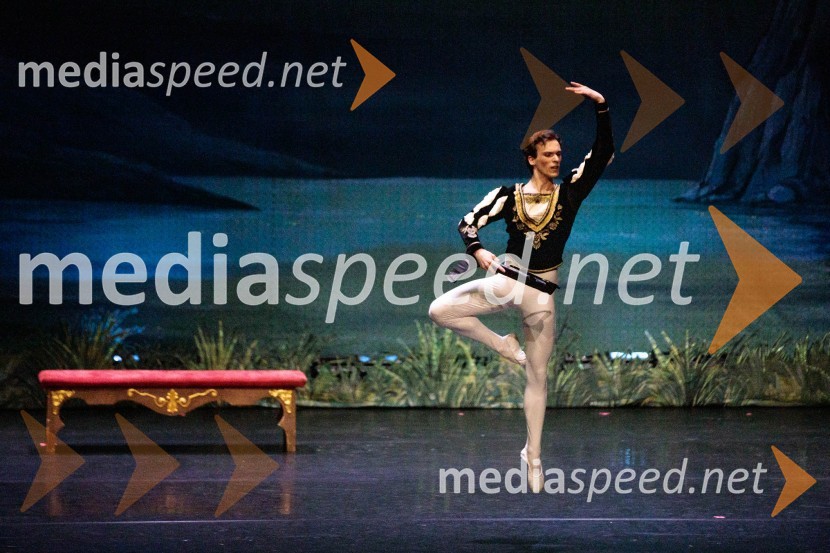 Labodje jezero, balet