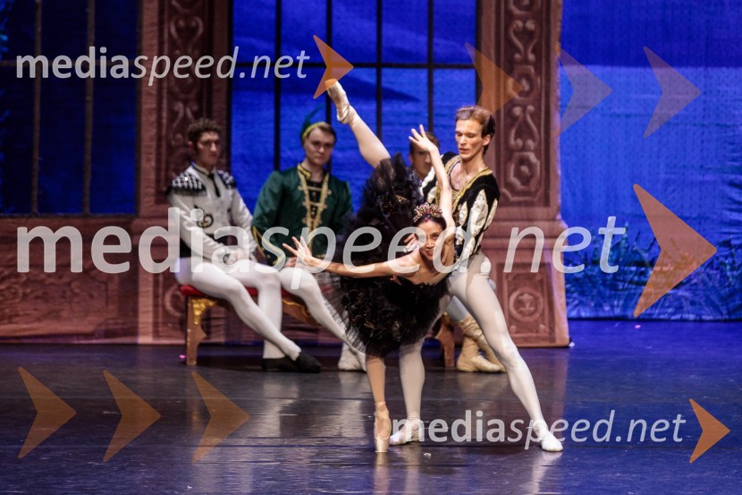 Labodje jezero, balet