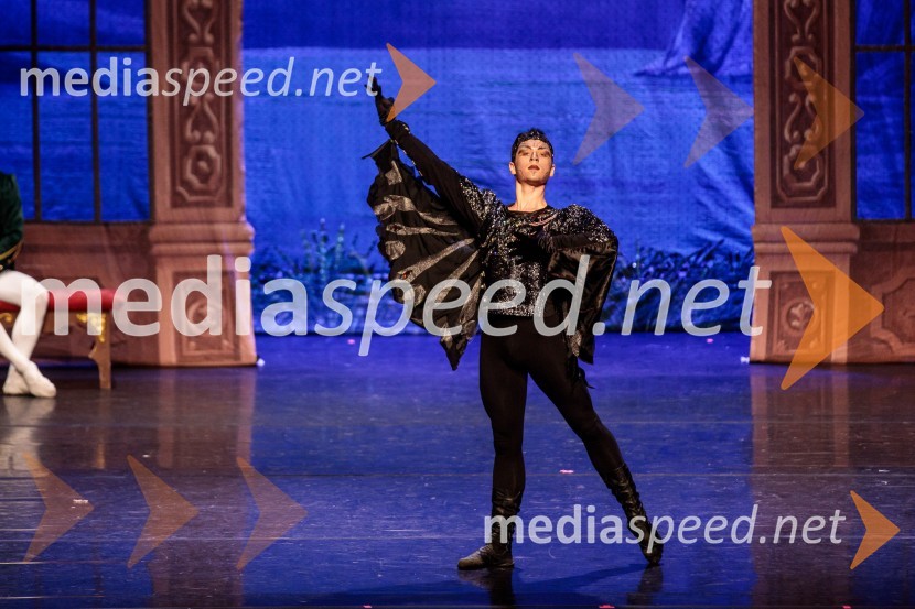 Labodje jezero, balet