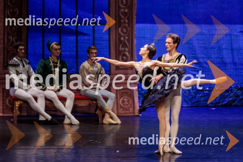 Labodje jezero, balet