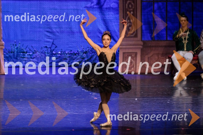 Labodje jezero, balet