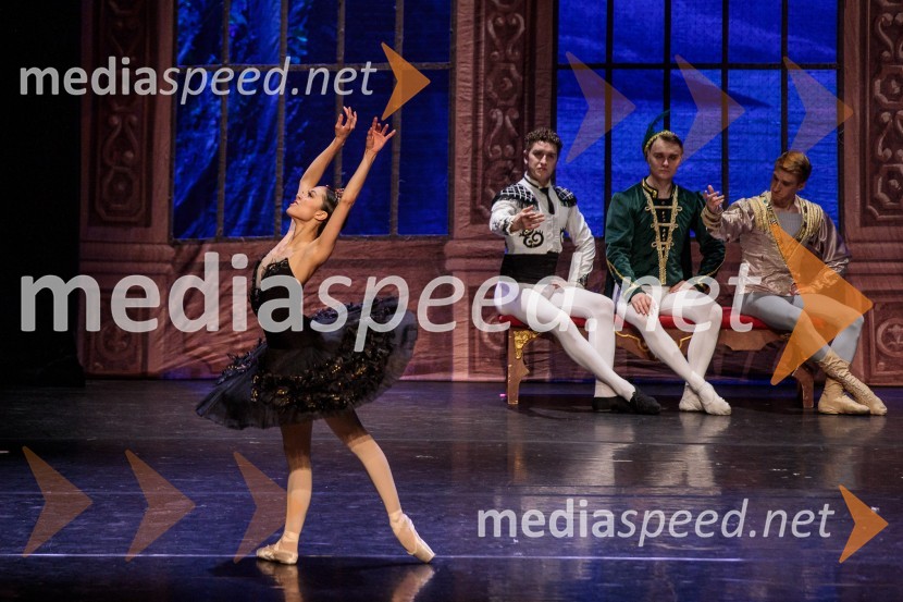 Labodje jezero, balet