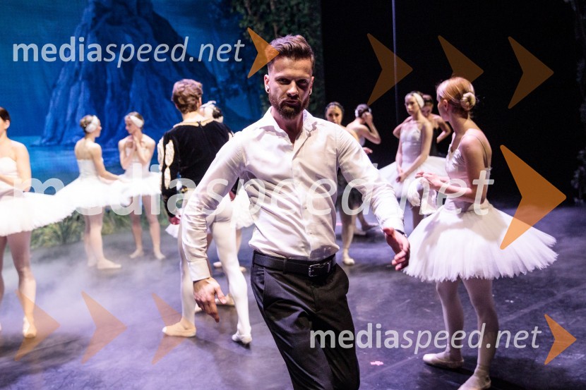 Labodje jezero, balet