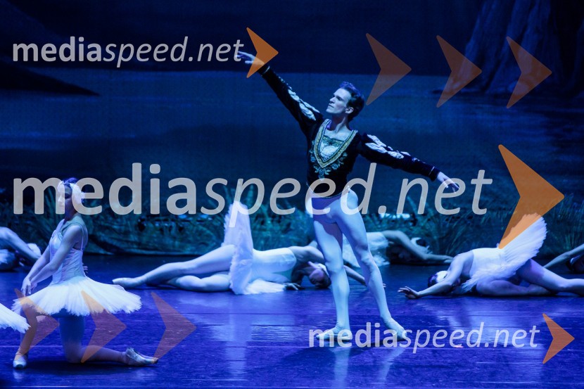 Labodje jezero, balet