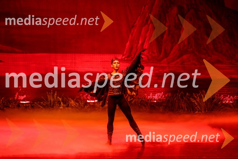 Labodje jezero, balet