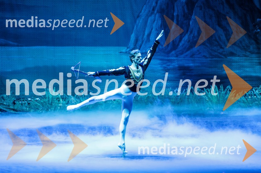 Labodje jezero, balet