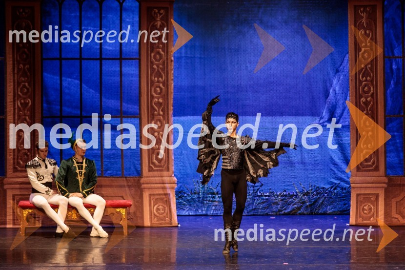 Labodje jezero, balet