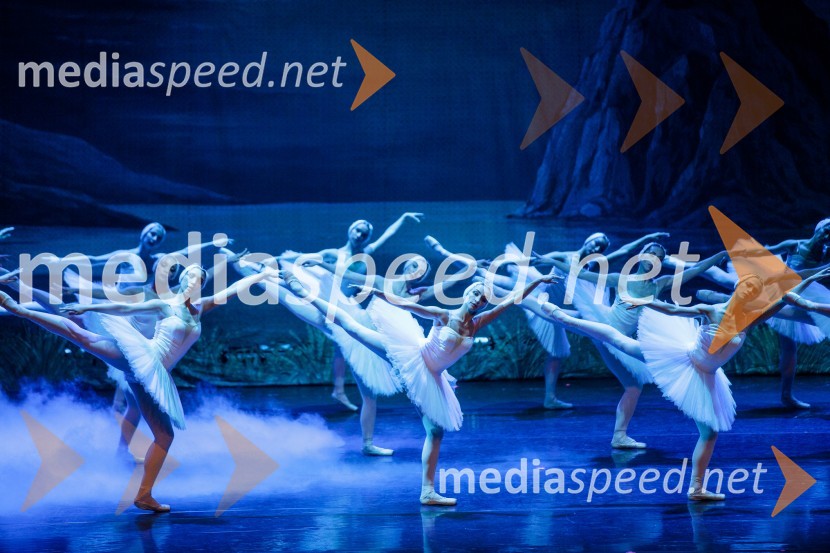 Labodje jezero, balet