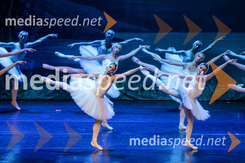 Labodje jezero, balet
