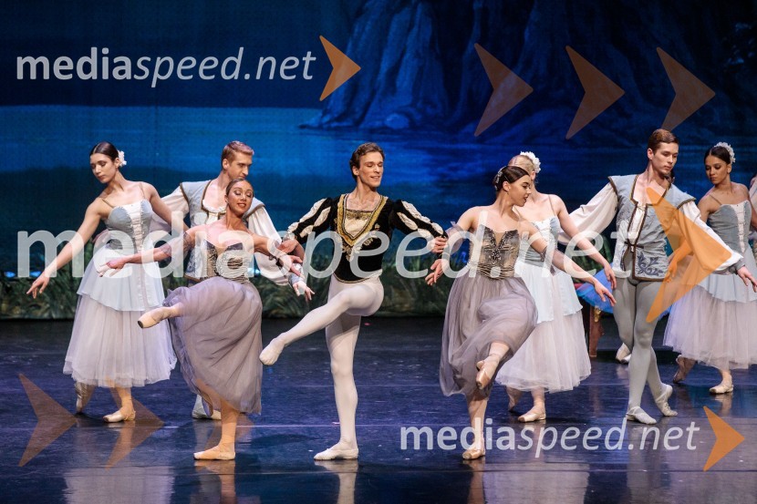 Labodje jezero, balet