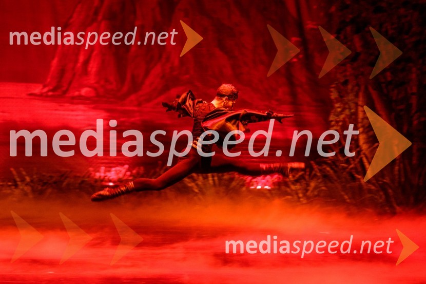 Labodje jezero, balet