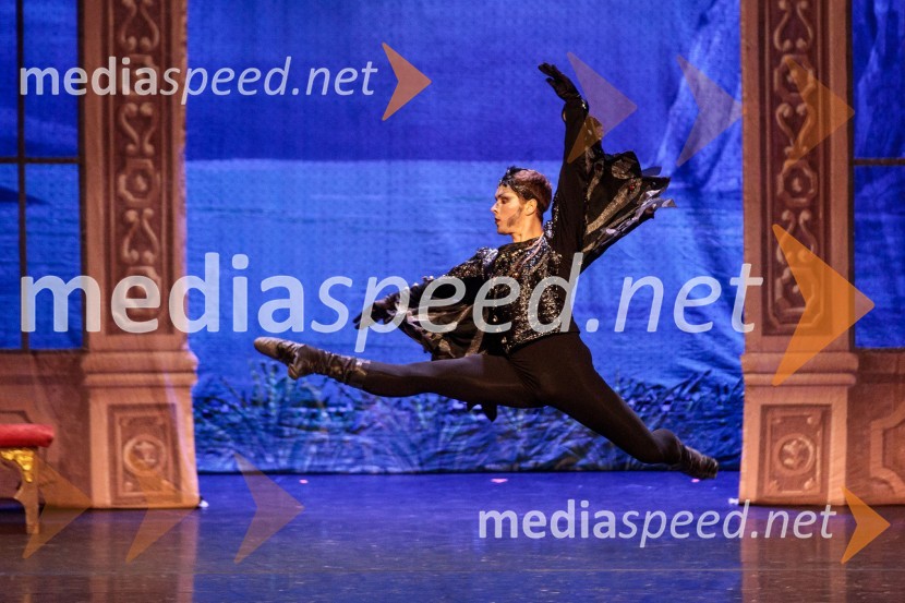 Labodje jezero, balet