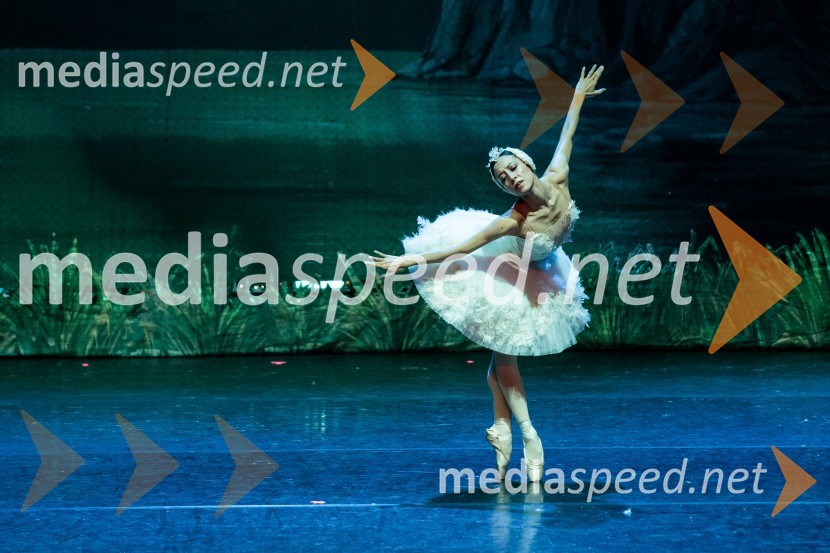 Labodje jezero, balet