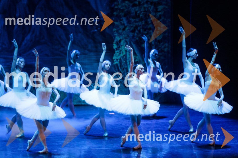 Labodje jezero, balet