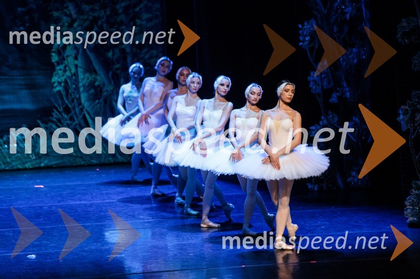 Labodje jezero, balet