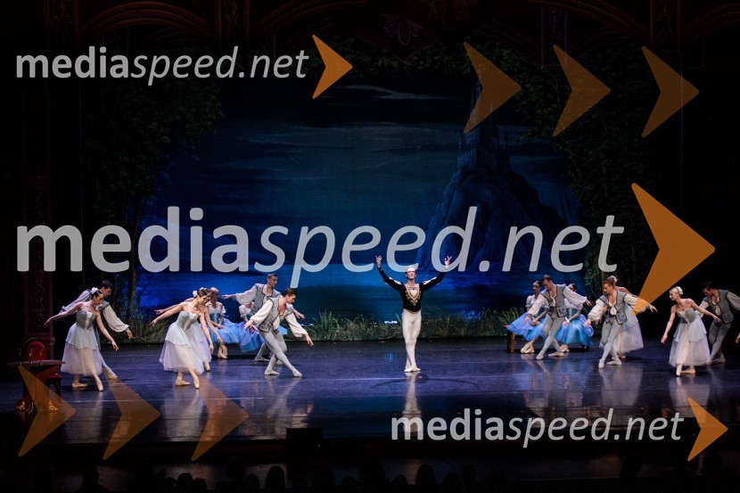 Labodje jezero, balet