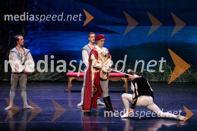 Labodje jezero, balet