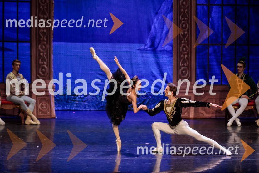 Labodje jezero, balet