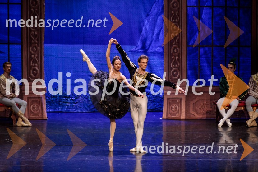 Labodje jezero, balet