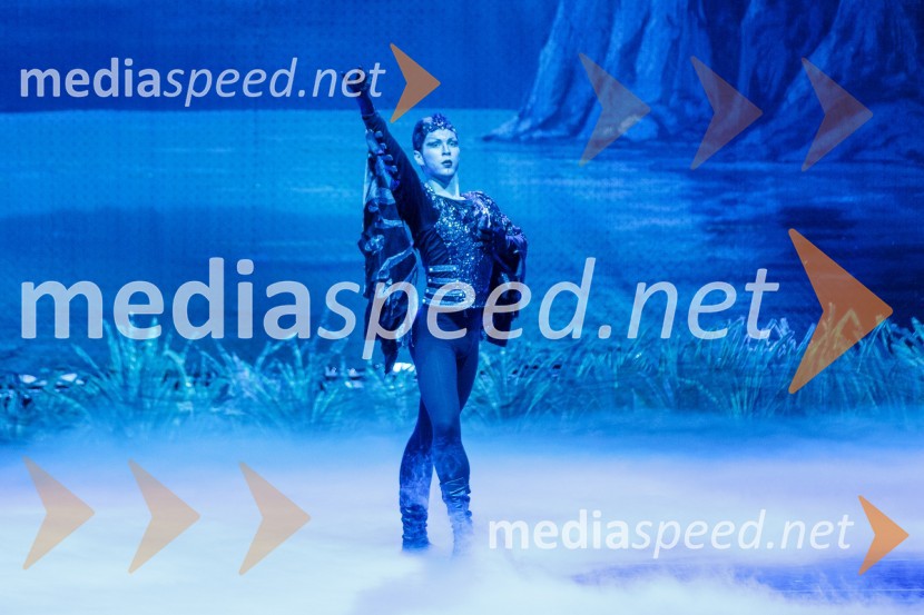 Labodje jezero, balet