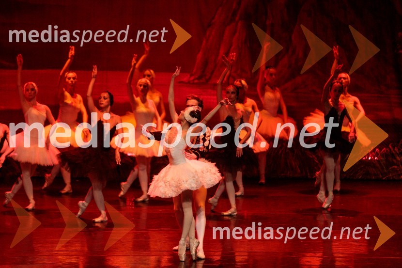 Labodje jezero, balet