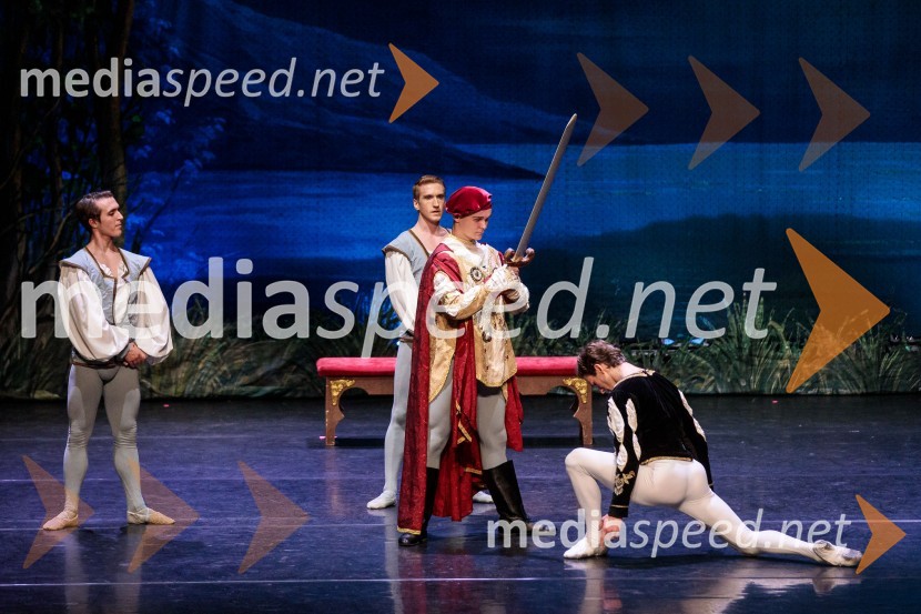 Labodje jezero, balet