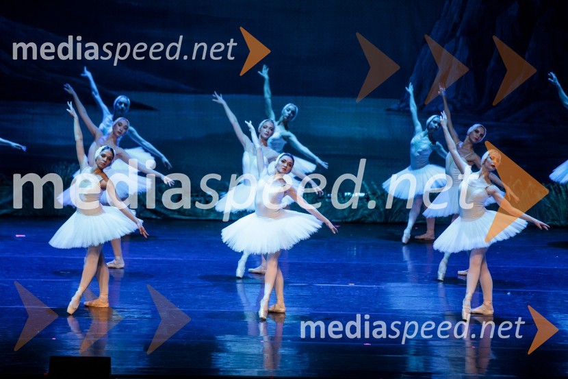 Labodje jezero, balet