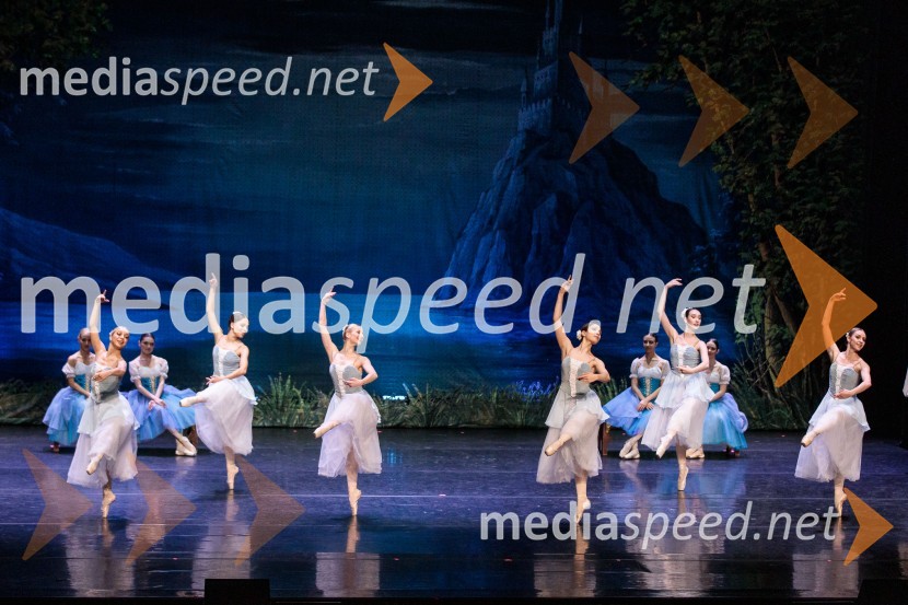 Labodje jezero, balet