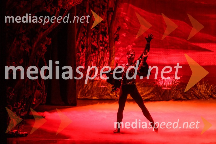 Labodje jezero, balet