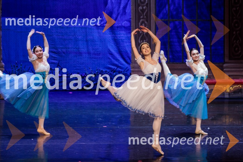 Labodje jezero, balet