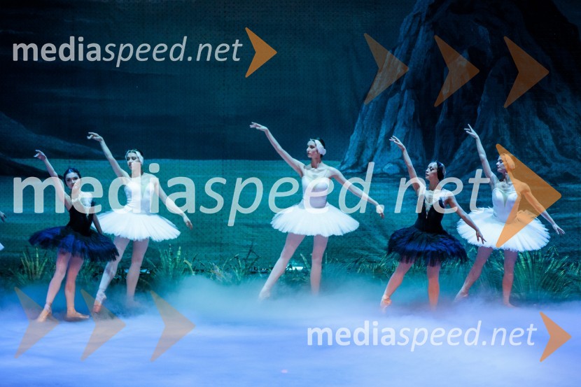 Labodje jezero, balet