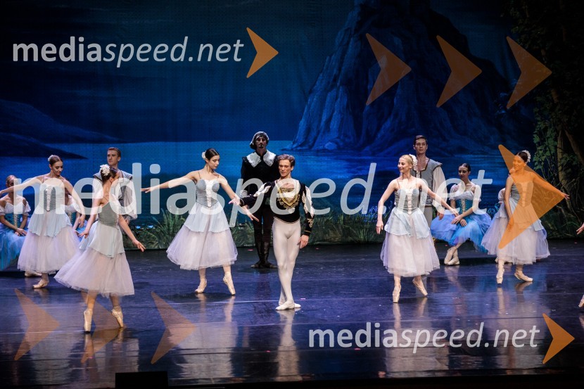 Labodje jezero, balet