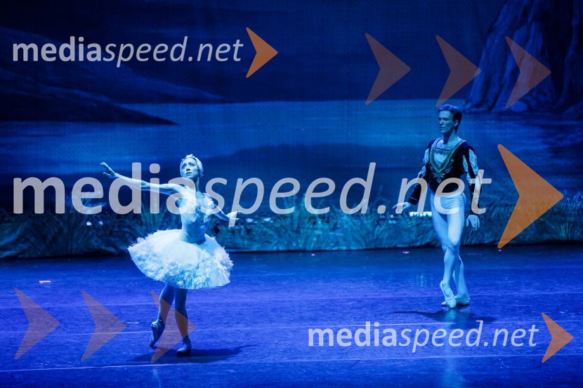 Labodje jezero, balet