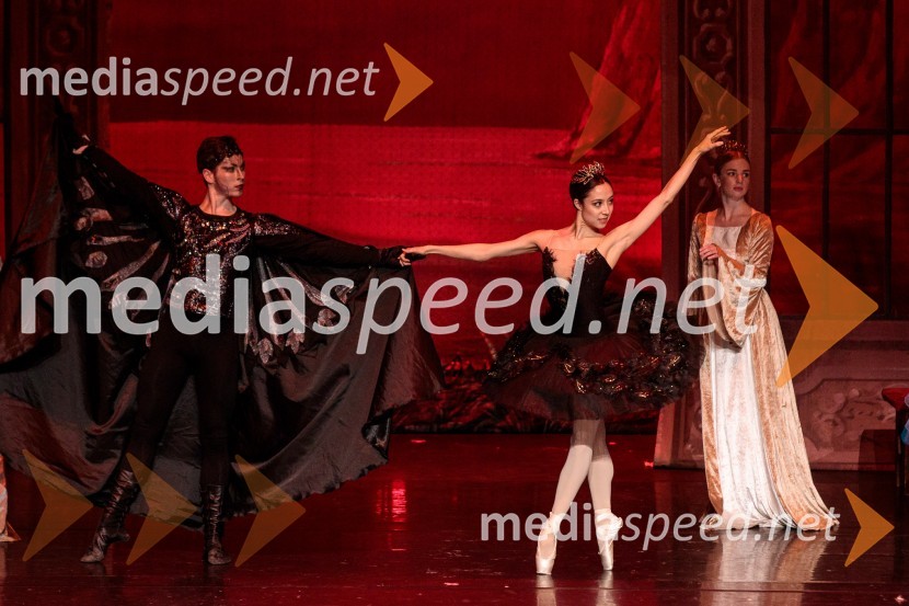 Labodje jezero, balet