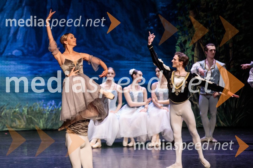 Labodje jezero, balet