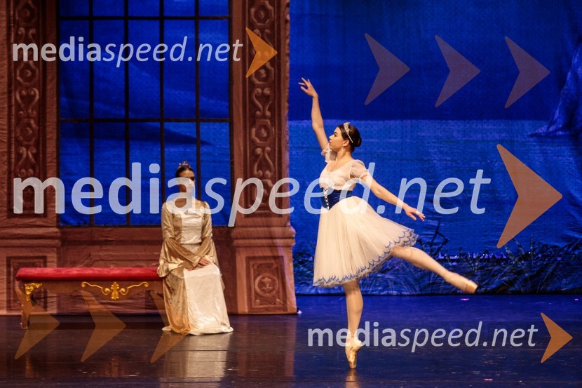 Labodje jezero, balet