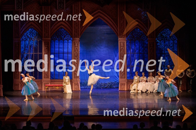 Labodje jezero, balet