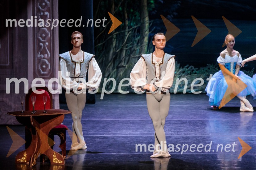 Labodje jezero, balet