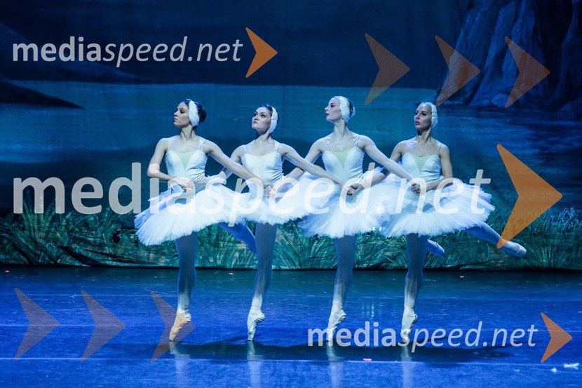 Labodje jezero, balet