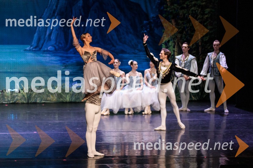 Labodje jezero, balet