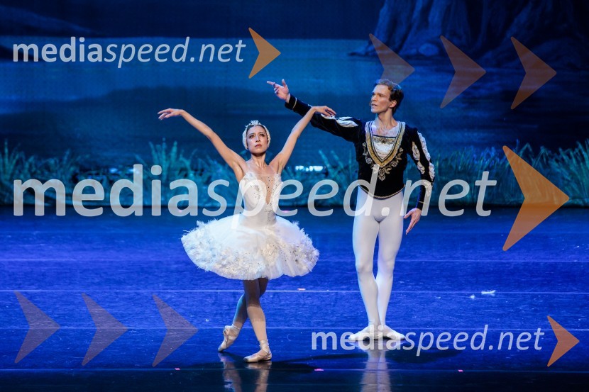 Labodje jezero, balet