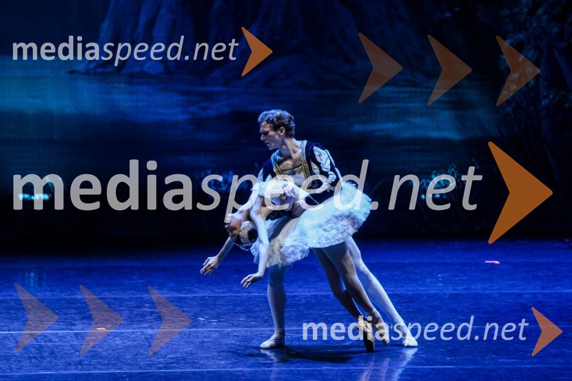 Labodje jezero, balet