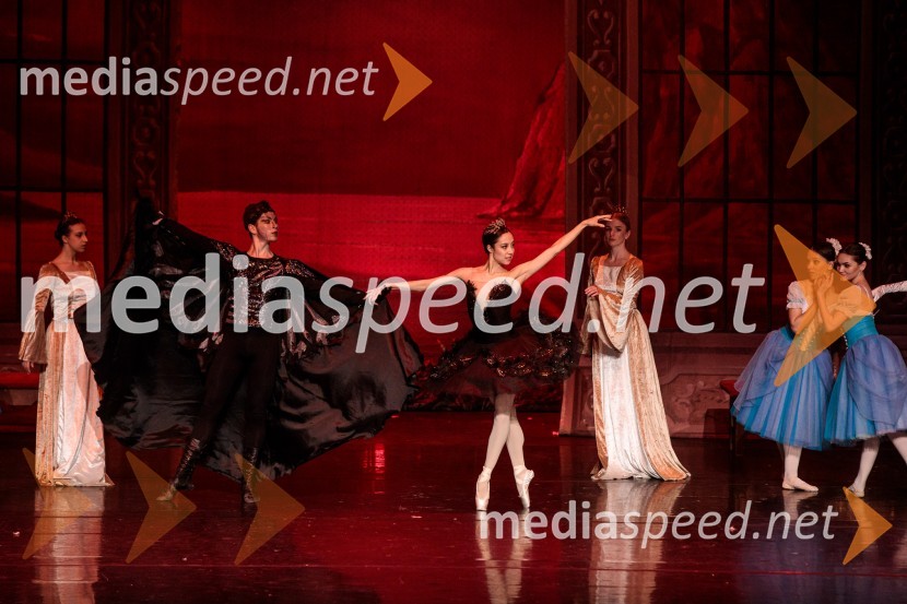 Labodje jezero, balet