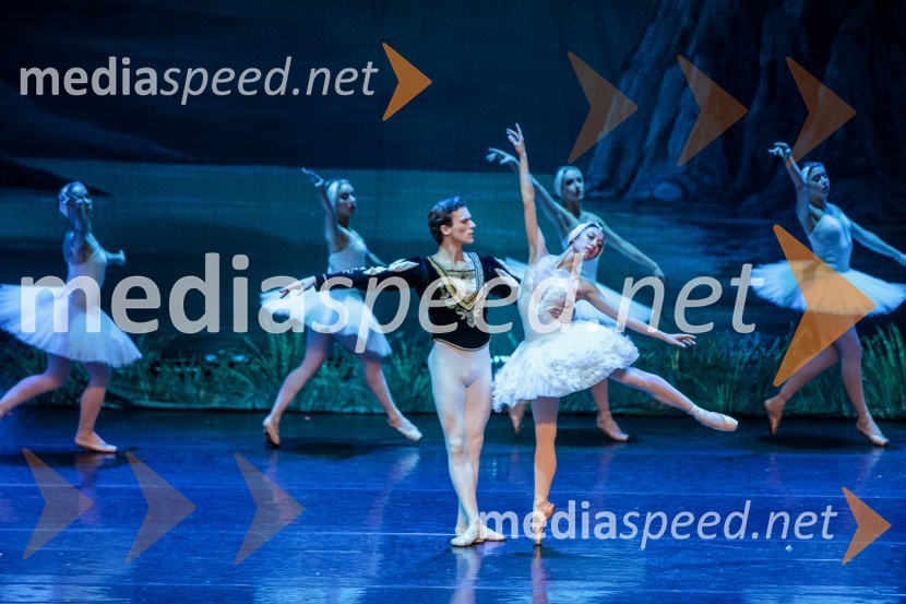 Labodje jezero, balet