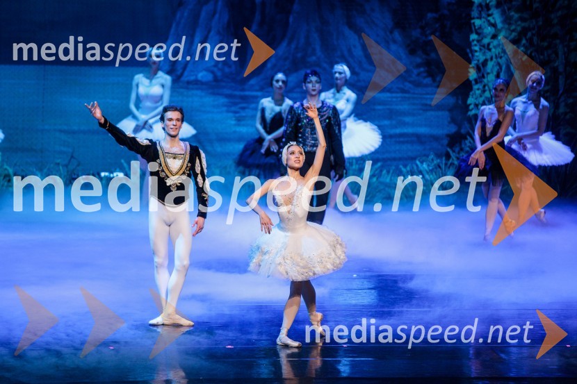 Labodje jezero, balet