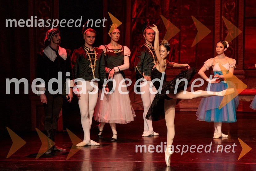 Labodje jezero, balet