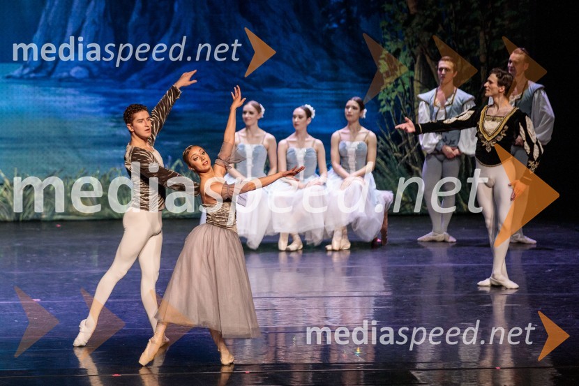 Labodje jezero, balet